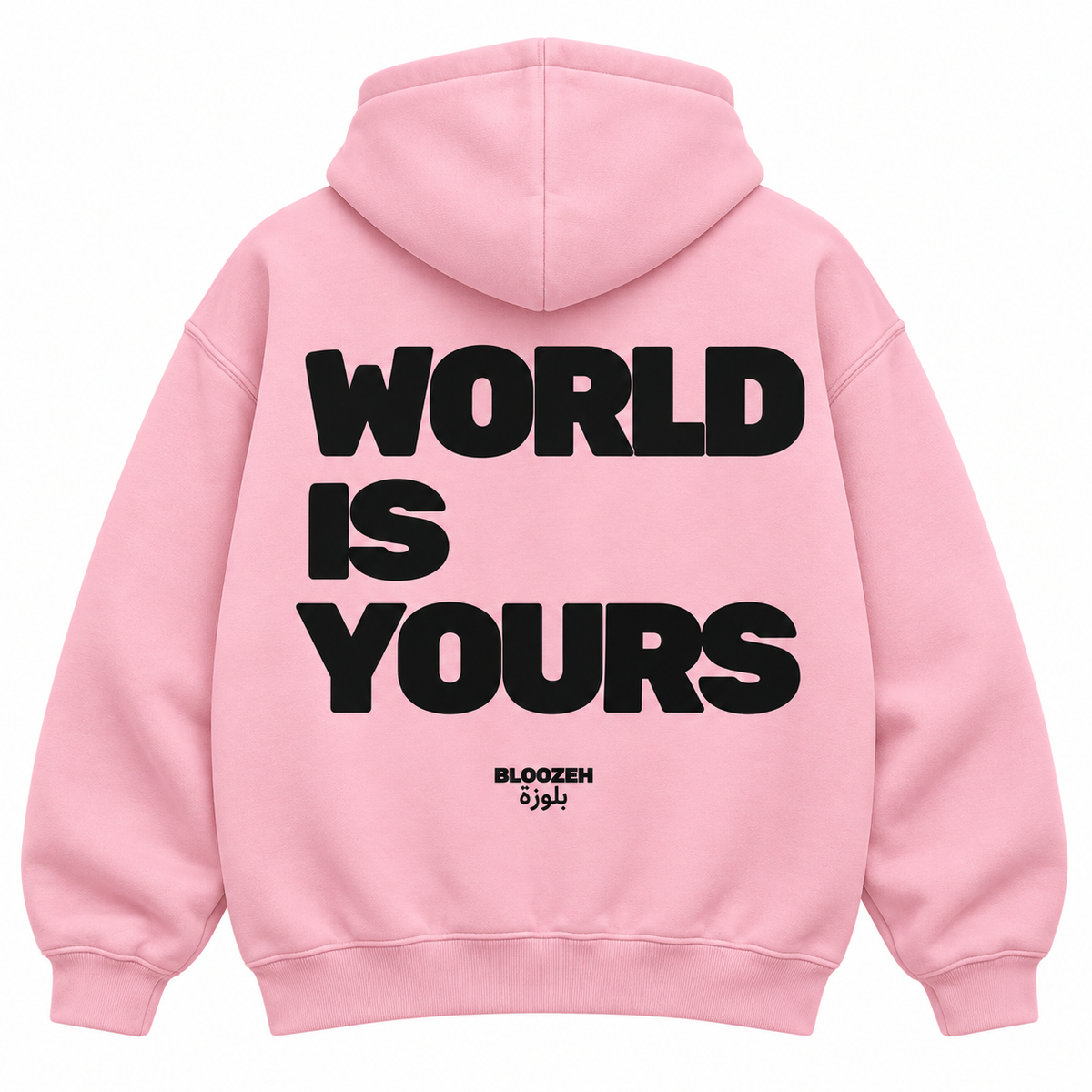 the world is yours
